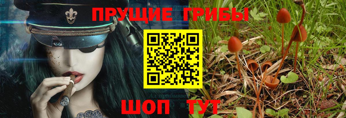 Псилоцибиновые грибы мухоморы  Вход с VPN  Ухта 