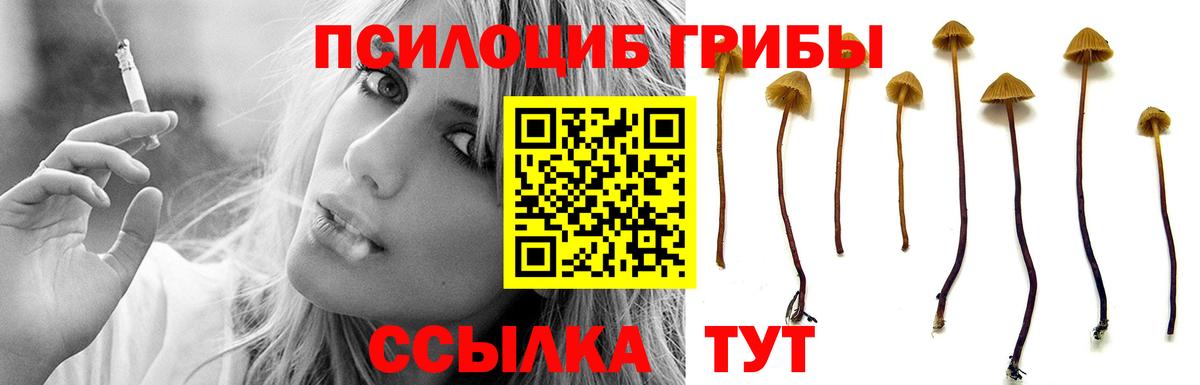 Псилоцибиновые грибы Magic Shrooms Ухта