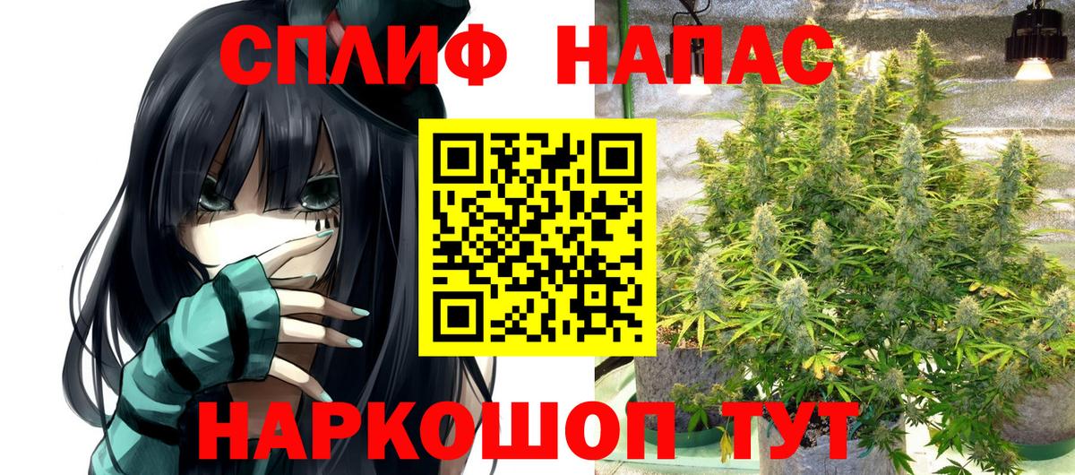 Конопля MAZAR Ухта
